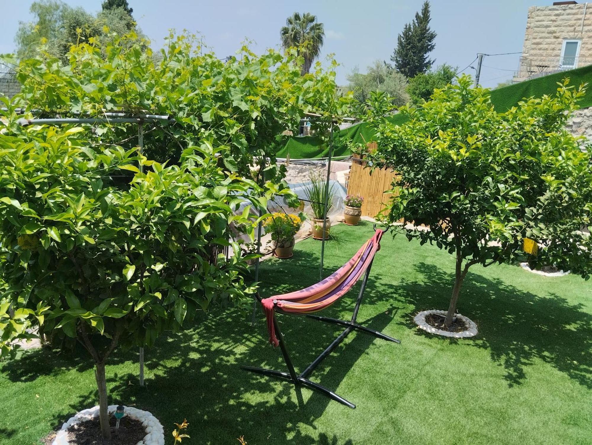 דירות ירושלים קסם עין כרם מראה חיצוני תמונה